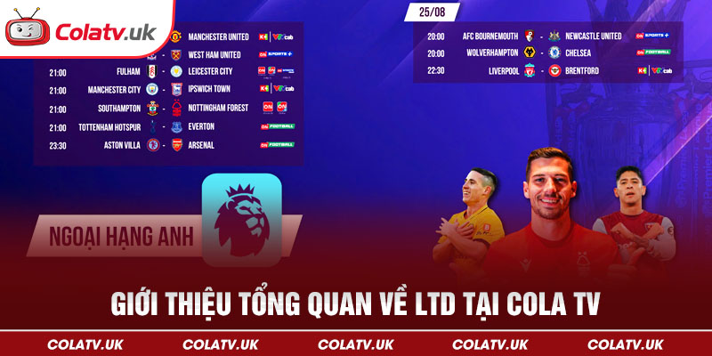 Giới thiệu tổng quan về LTD tại Cola TV